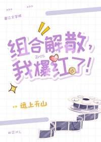 组合解散，我爆红了