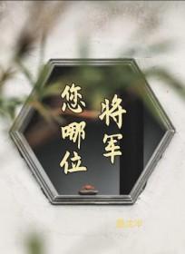 将军，您哪位